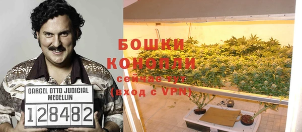 2c-b Коряжма