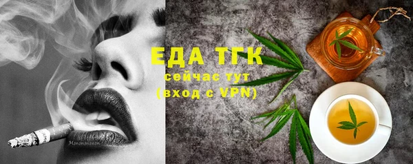 индика Корсаков