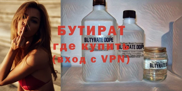индика Корсаков