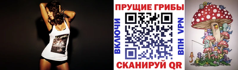 Галлюциногенные грибы Cubensis  Купить где  Жигулёвск 